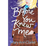 Before You Knew Me: An opposites attract romantic suspense novel