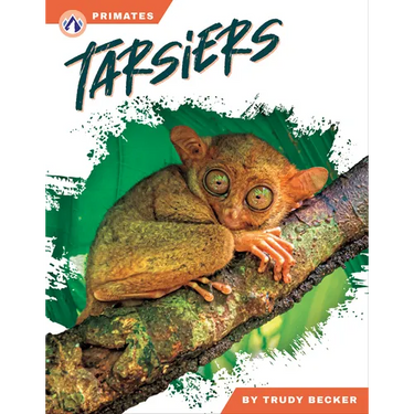 Tarsiers