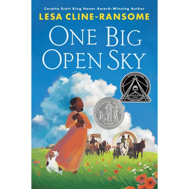 One Big Open Sky