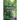 The Pathway of Life