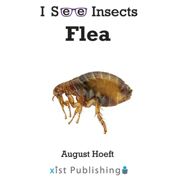 Flea