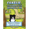 Charlie, The Border Collie Without a Job