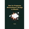 Gas for Progress: Mozambique's Bridge to Wealth