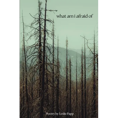 what am i afraid of