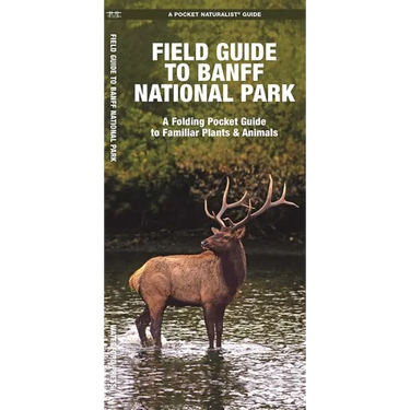 Banff National Park, Field Guide to: A Folding Pocket Guide to Familiar Plants & Animals