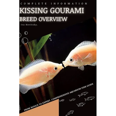 Kissing Gourami: From Novice to Expert. Comprehensive Aquarium Fish Guide