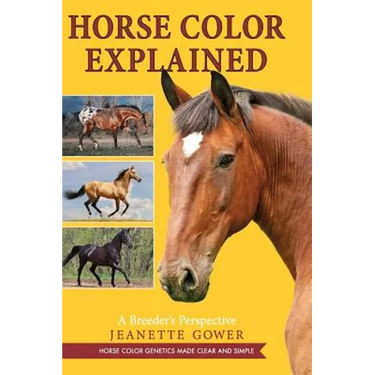 Horse Color Explained: A Breeder's Perspective