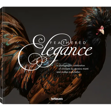 Feathered Elegance: A Photographic Celebration of Chickens