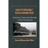 What is Putin Doing? Russia - Ukraine Crisis: Sanctions, Peace and Security in the 21st Century