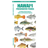 Hawai'i Freshwater Fishes: A Folding Pocket Guide to Native and Introduced Species