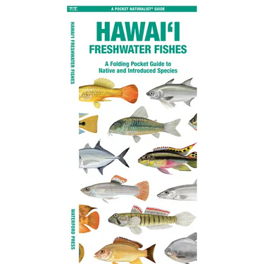 Hawai'i Freshwater Fishes: A Folding Pocket Guide to Native and Introduced Species