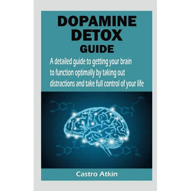 Dopamine Detox Guide
