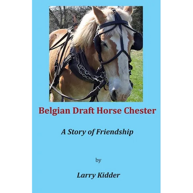 Belgian Draft Horse Chester: A Story of Friendship