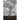 The Plague Ditties