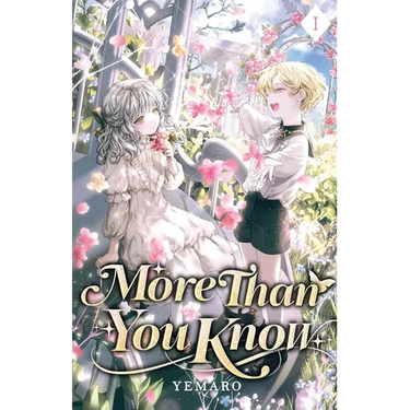 More Than You Know: Volume I (Light Novel)