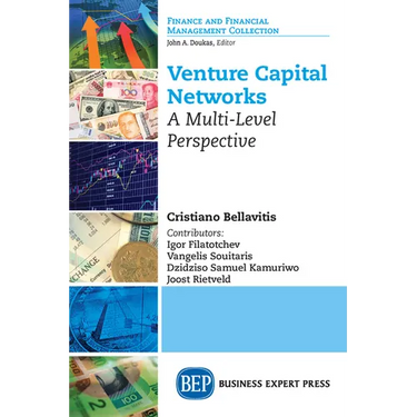 Venture Capital Networks: A Multi-Level Perspective