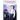 The Transsexual Scientist: The Causation and Experience of Transgenderism and Transsexualism