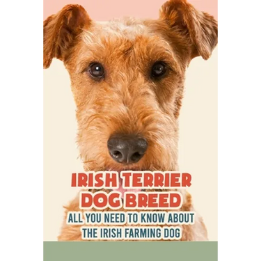 Irish Terrier Dog Breed: All You Need to Know about The Irish Farming Dog: Facts about The Rollicking Terriers of Ireland