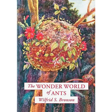 The Wonder World of Ants