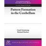 Pattern Formation in the Cerebellum
