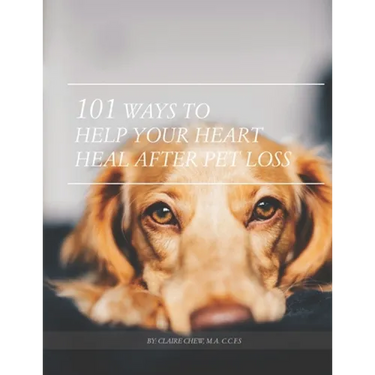 101 Ways To Help Your Heart Heal After Pet Loss