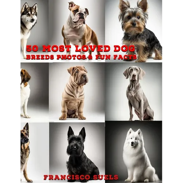 50 Most Loved Dog Breeds: Photos & Fun Facts