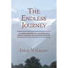 The Endless Journey: A Unique Perspective on Mankind's Origin, Purpose and Ultimate Destiny