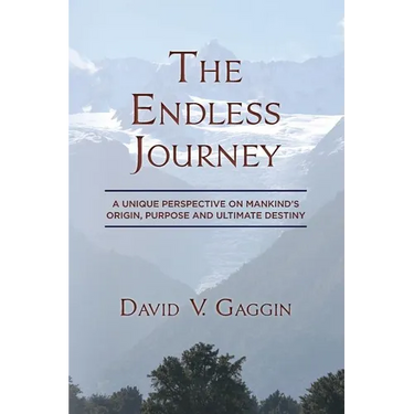 The Endless Journey: A Unique Perspective on Mankind's Origin, Purpose and Ultimate Destiny