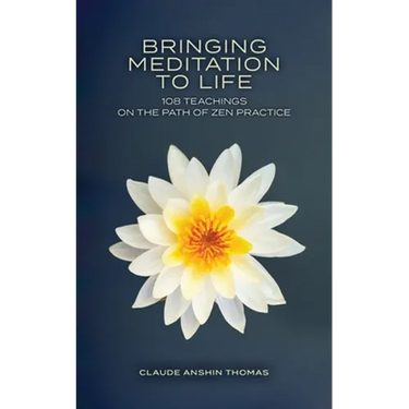 Bringing Meditation to Life: 108 Teachings on the Path of Zen Practice