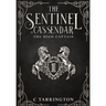 The Sentinel of Cassendar: The High Captain