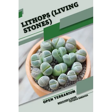 Lithops (Living Stones): Open terrarium, Beginner's Guide
