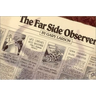 The Far Side(r) Observer