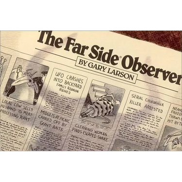 The Far Side(r) Observer