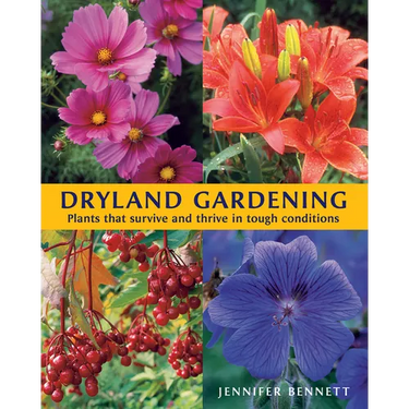 Dryland Gardening: Plants That Survive and Thrive in Tough Conditions