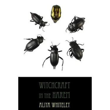 Witchcraft in the Harem