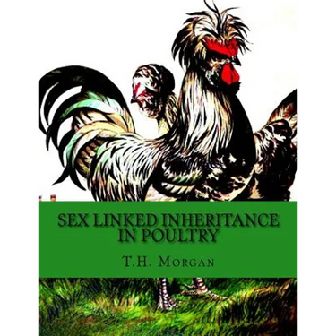 Sex Linked Inheritance in Poultry