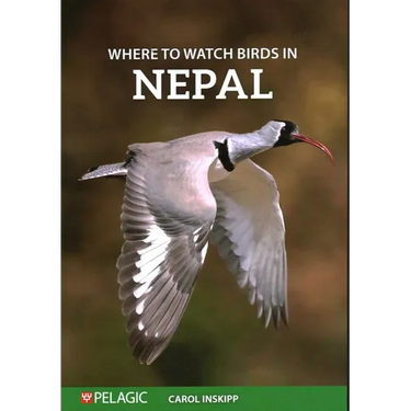 Where to Watch Birds in Nepal
