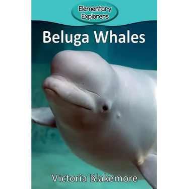 Beluga Whales