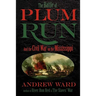 The Battle of Plum Run