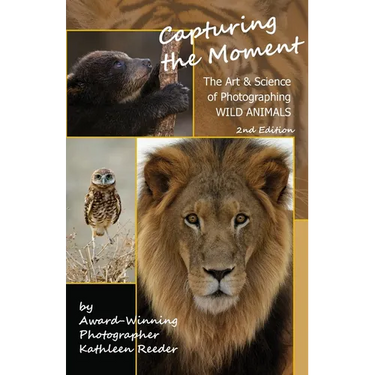 Capturing the Moment, The Art & Science of Photographing Wild Animals