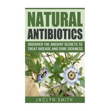 Natural Antibiotics: Discover the Ancient Secrets to Treat Disease and Cure Sickness