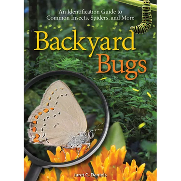 Backyard Bugs: An Identification Guide to Common Insects, Spiders, and More