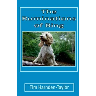 The Ruminations of Bing: Lines From My Forehead 3