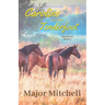 Caroline and the Tenderfoot