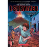 I Survived the Destruction of Pompeii, AD 79 (I Survived Graphic Novel #10)