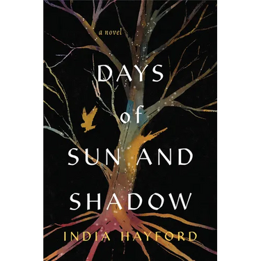 Days of Sun and Shadow