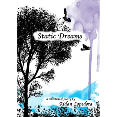 Static Dreams