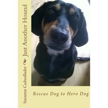 Just Another Hound: Rescue Dog to Hero Dog
