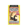 Everything You Should Know About: Scorpions Faster Learning Facts