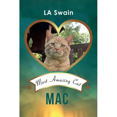 Mac: Most Amazing Cat